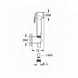 Набор для гигиенического душа GROHE Tempesta 27513001